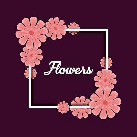 Flowers design with decorative square frame with beautiful pink flowers over purple background, colorful design. vector illustrationのイラスト素材