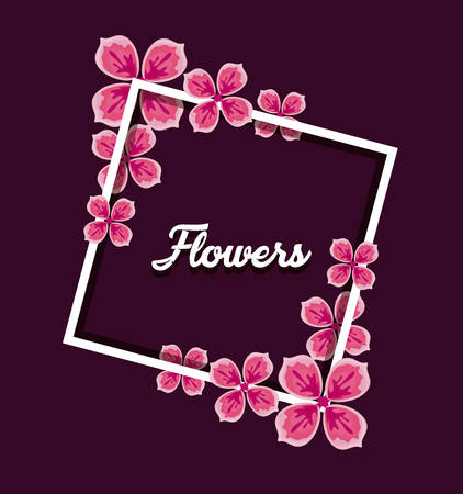 Flowers design with decorative square frame with beautiful pink flowers over purple background, colorful design. vector illustrationのイラスト素材