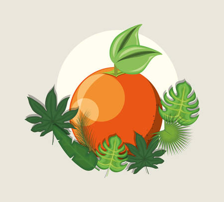 tropical leaves with orange fruit and decorative tropical leaves over gray background, colorful design. vector illustrationのイラスト素材
