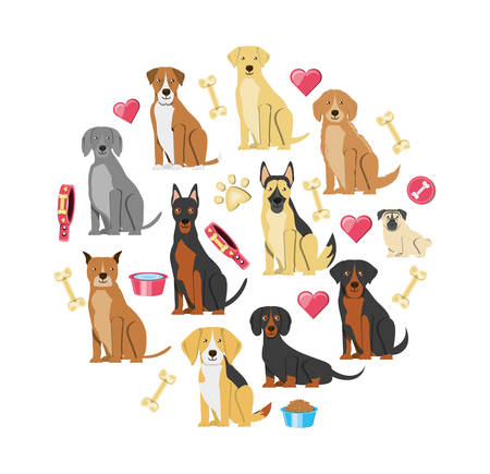 pet shop veterinary elements vector illustration designのイラスト素材