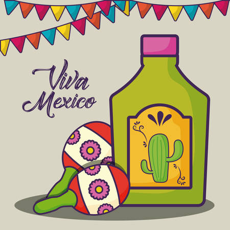 Viva Mexico design with maracas and tequila bottle over white background, colorful design. vector illustrationのイラスト素材