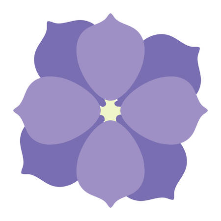 purple flower icon over white background, vector illustrationのイラスト素材