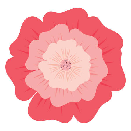 tropical flower icon over white background, colorful design. vector illustrationのイラスト素材