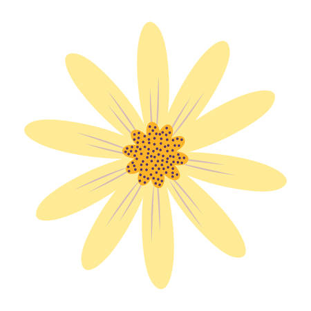 beautiful flower icon over white background, colorful design. vector illustrationのイラスト素材