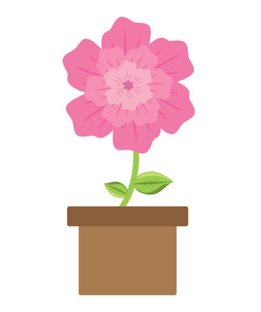 flower plant in a pot over white background, colorful design. vector illustrationのイラスト素材