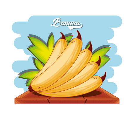 Fruit banana healthy food vector illustration designのイラスト素材
