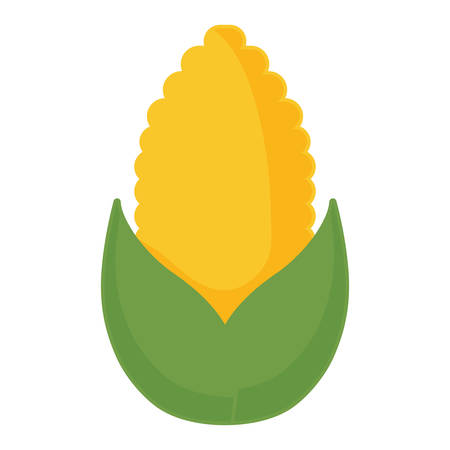 corn vegetable over white background, colorful design. vector illustrationのイラスト素材