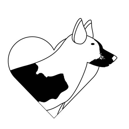 heart with german shepherd over white background, vector illustrationのイラスト素材