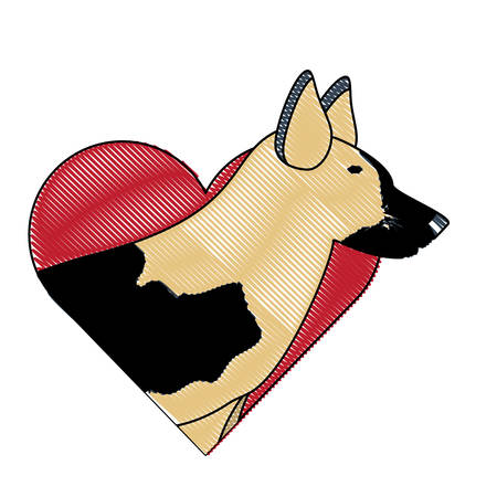 heart with german shepherd over white background, vector illustrationのイラスト素材