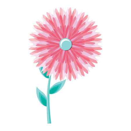 beautiful flower icon over white background, colorful design. vector illustrationのイラスト素材