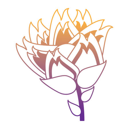 beautiful flower icon over white background, colorful design. vector illustrationのイラスト素材
