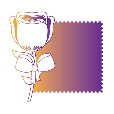 card with beautiful rose icon over white background, colorful design. vector illustrationのイラスト素材