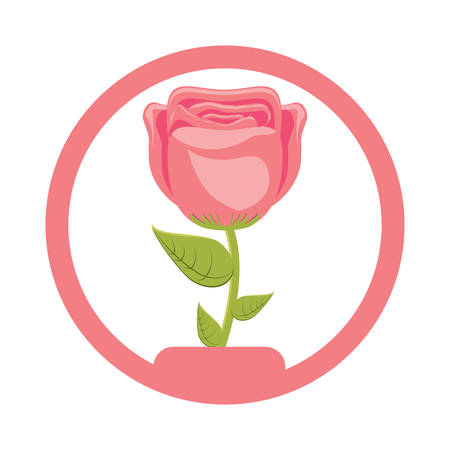 decorative circular frame with beautiful flower icon over white background, vector illustrationのイラスト素材