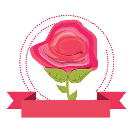 decorative ribbon and beautiful flower icon over white background, colorful design. vector illustrationのイラスト素材