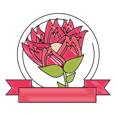 emblem of decorative ribbon and flower icon over white background, vector illustrationのイラスト素材