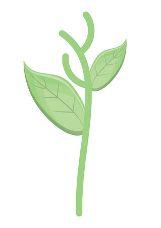 plant icon over white background, vector illustrationのイラスト素材
