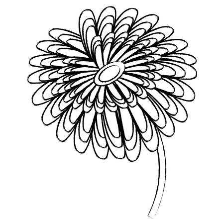 beautiful flower icon over white background, vector illustrationのイラスト素材