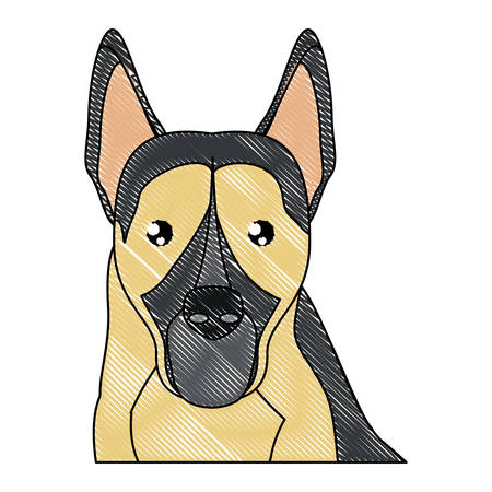 cute german shepherd dog icon over white background, vector illustrationのイラスト素材