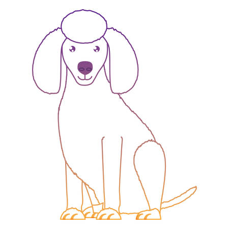 cute poodle dog icon over white background, vector illustrationのイラスト素材