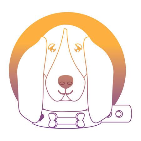 cute basset hound dog with collar over white background, vector illustrationのイラスト素材