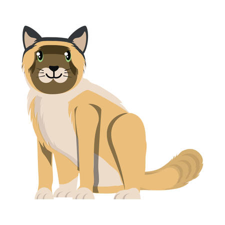 cute kitty icon over white background, colorful design. vector illustrationのイラスト素材