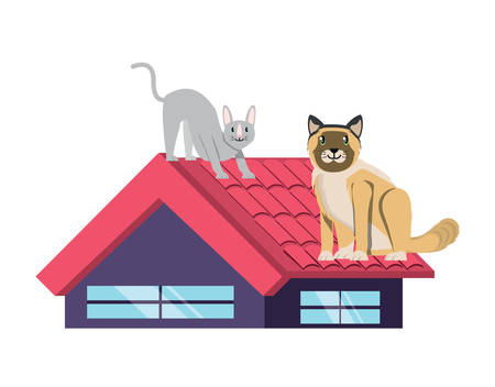 cute cats on the roof over white background, vector illustrationのイラスト素材