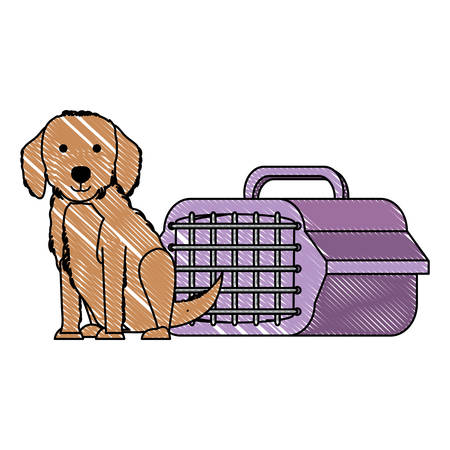 cute golden retriever dog and transport box over white background, vector illustrationのイラスト素材
