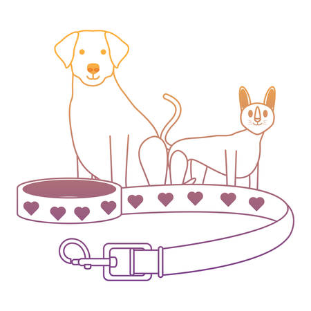 pet collar with cute dog and cat over white background, vector illustrationのイラスト素材