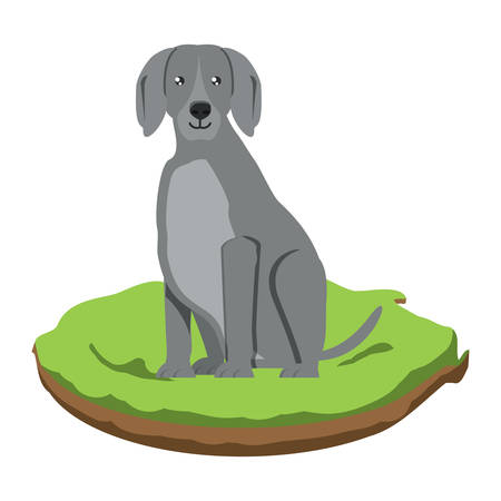 weimaraner dog icon over white background, vector illustrationのイラスト素材