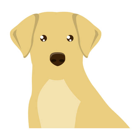 cute labrador dog icon over background, vector illustrationのイラスト素材