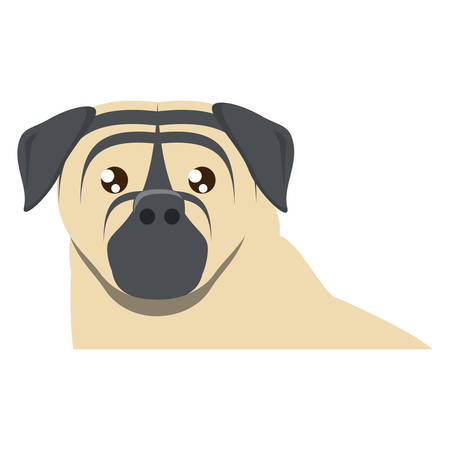 pug dog icon over white background, vector illustrationのイラスト素材