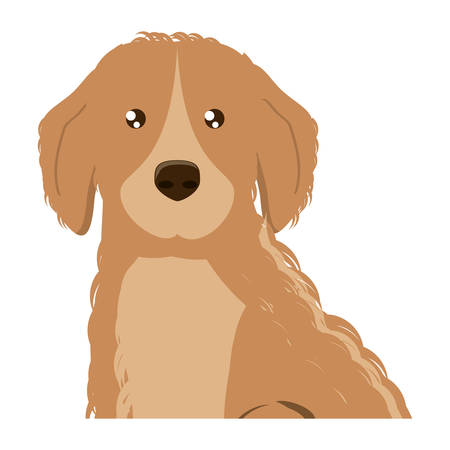 cute golden retriever dog icon over background, vector illustrationのイラスト素材