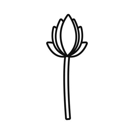 decorative flower lotus natural floral vector illustration thin lineのイラスト素材