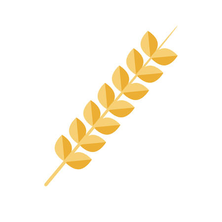 golden wheat leaf cereal natural vector illustrationのイラスト素材