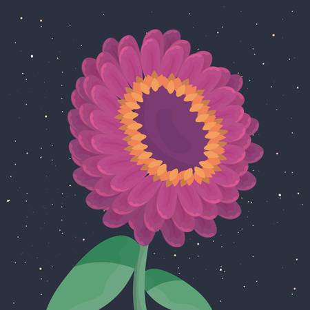 decorative flower delicate ornament nature vector illustrationのイラスト素材