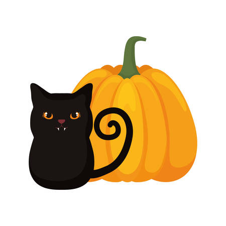 black cat and halloween pumpkin over white background, colorful design. vector illustrationのイラスト素材