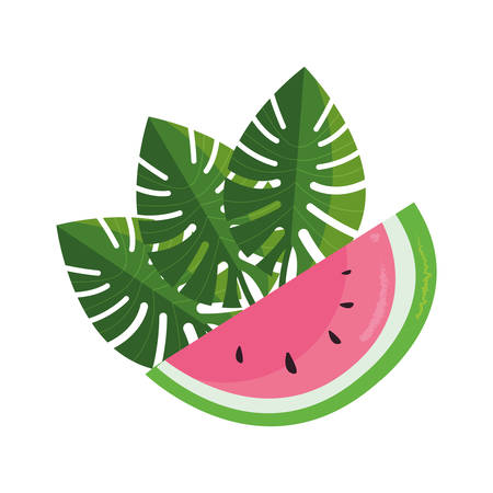 tropical watermelon palm leaves foliage vector illustrationのイラスト素材