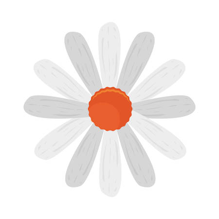 flower natural decoration isolated design vector illustrationのイラスト素材