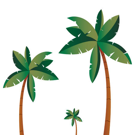 tropical palms tree isolated design vector illustrationのイラスト素材