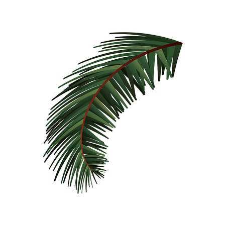 branch pine tree christmas decoration vector illustrationのイラスト素材