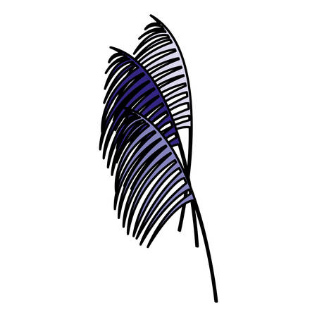 tropical leaves over white background, vector illustrationのイラスト素材