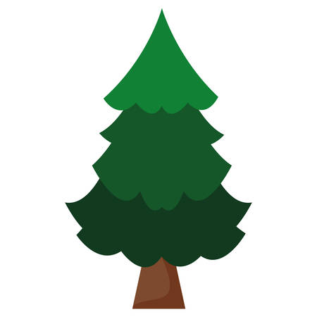 pine tree over background, vector illustrationのイラスト素材