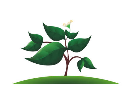 ecology tree plant icon vector illustration designのイラスト素材