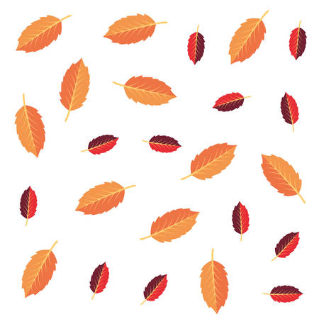 autumn leaves foliage decoration background vector illustration vector illustrationのイラスト素材