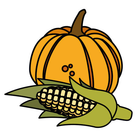 pumpkin and cob over white background, vector illustrationのイラスト素材