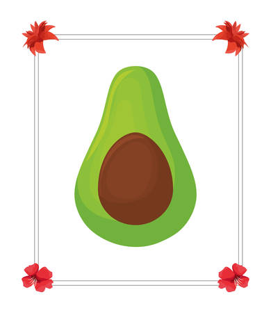 avocado fresh frame flowers white background vector illustrationのイラスト素材