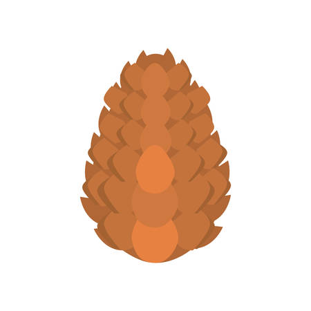 pinecone decoration on white background vector illustrationのイラスト素材