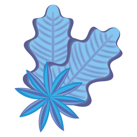 tropical leaves and flowers over white background, colorful design, vector illustrationのイラスト素材
