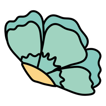 tropical flower over white background, vector illustrationのイラスト素材