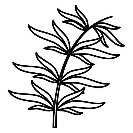 tropical flower icon over white background, vector illustrationのイラスト素材